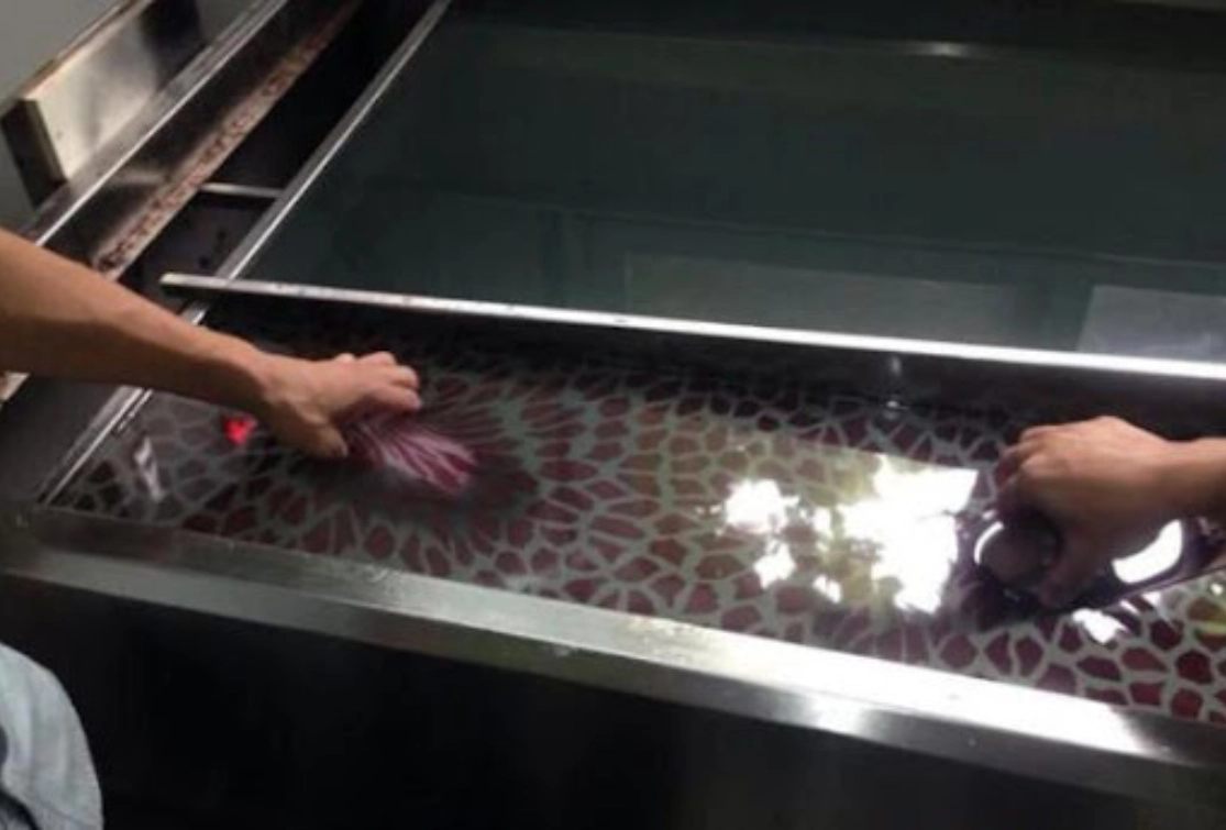 From Design to Shelf in 72 Hours: Water Transfer Printing’s 